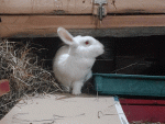 20190925_221757.gif