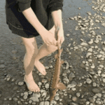 20200213_142017.gif