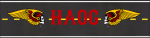 haog logo.png