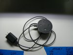 6 weeks GG4,GP4,Mac, WD1&2 alexa 035.JPG