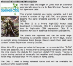 Screen Shot 2020-02-15 at 3.35.52 PM.png