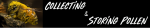 collecting storing.png