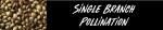 sbp.png