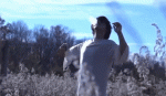 26201151-2296-42F3-ABD3-BFA1A8A9B592.gif