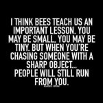 FB_IMG_1596769794014.jpg