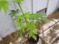 20220119_094206.jpg