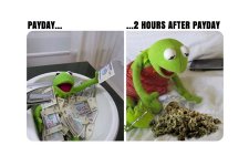 kermit-payday-after-weed-memes.jpg