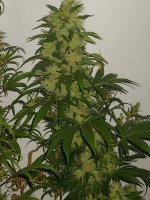 20220127_022713.jpg