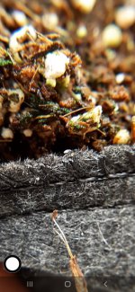 Screenshot_20220126-185757_Video Player.jpg