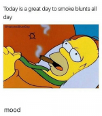 today-is-a-great-dayto-smoke-blunts-all-day-national-12902449.png
