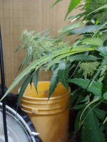 20220130_024127.jpg