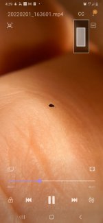 Screenshot_20220201-163914_Video Player.jpg