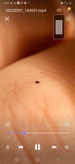 Screenshot_20220201-163912_Video Player.jpg