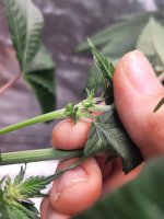 20220204_141223 - Copy.jpg