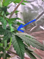 20220204_141441 - Copy.jpg