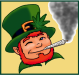 contest irish.png contest irish.png