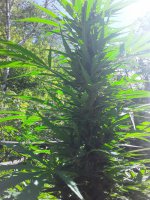 20210908_141924.jpg 20210908_141924.jpg