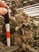 20220302_090212.jpg 20220302_090212.jpg