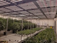 20220310_110415.jpg 20220310_110415.jpg