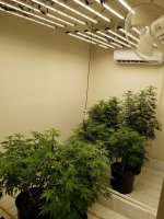 20220310_193642.jpg 20220310_193642.jpg