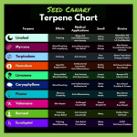 Terpenes.png