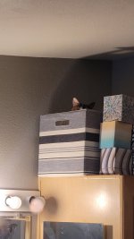 20220310_130556.jpg