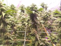 20220313_215134.jpg 20220313_215134.jpg