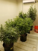 20220318_000036.jpg 20220318_000036.jpg