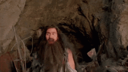NimbleCookedAmericancrow-max-1mb.gif