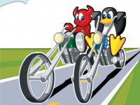 easy_rider.jpg