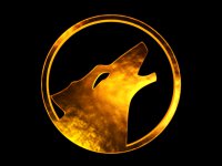 Amarok logo--0.jpg