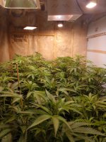 IMG_20220414_152957777.jpg IMG_20220414_152957777.jpg