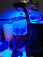 20220428_180909.jpg