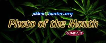 potm may.jpg potm may.jpg