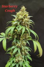 20220413_085556.jpg 20220413_085556.jpg