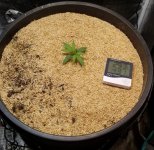 20220506_143900.jpg 20220506_143900.jpg