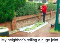 my-neighbors-rolling-a-huge-joint.jpg