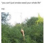 images (72).jpeg
