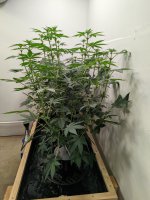 PXL_20220517_020550402.jpg