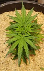 20220519_171602.jpg 20220519_171602.jpg