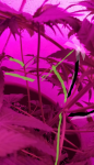 Capture+_2020-05-30-22-20-55-1.png