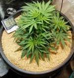 20220527_132345.jpg 20220527_132345.jpg