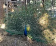 20220603_134238.jpg 20220603_134238.jpg