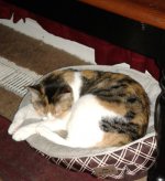 20171114_123845.jpg