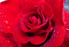 moody2 (2018_04_17 18_19_01 UTC).JPG