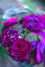 ebbyspin2 (2018_04_17 18_32_50 UTC).JPG