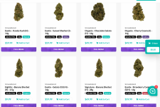 Screenshot 2022-06-15 9.47.25 AM.png