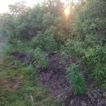 0615220549a.jpg 0615220549a.jpg