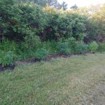 0615220549.jpg 0615220549.jpg