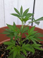 PXL_20220622_200843223.jpg